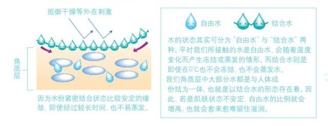 日系实惠好用的护肤品牌推荐,日本必买的小众护肤品牌