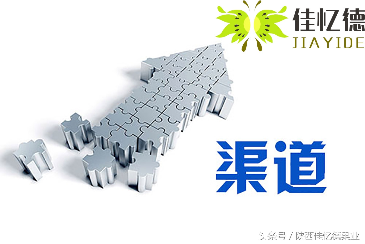 花了1500元买了张VIP门票，他带着商南猕猴桃走进了会场