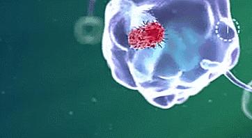 宝宝嘴巴有一层黄黄黏膜是什么,宝宝嘴里有黏黏的东西