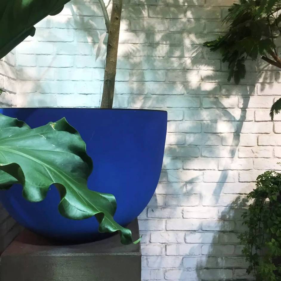 东京花店,东京南青山花店