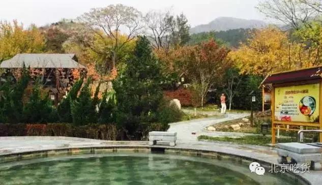 抓紧时间“约泡”才是大冬天最正经的事儿!