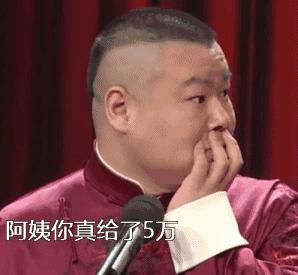 天呐！镇海将拥有宁波最大草坪？还将建宁波唯一