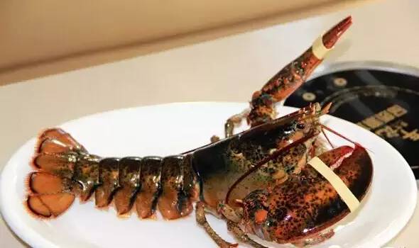 鲍鱼大虾海鲜火锅,一虾一蟹49元海鲜自助火锅