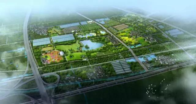 天呐！镇海将拥有宁波最大草坪？还将建宁波唯一