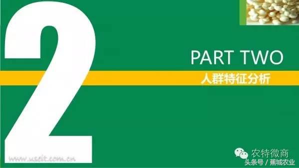 生鲜电商行业市场数据报告,中国生鲜电商发展简报2013年