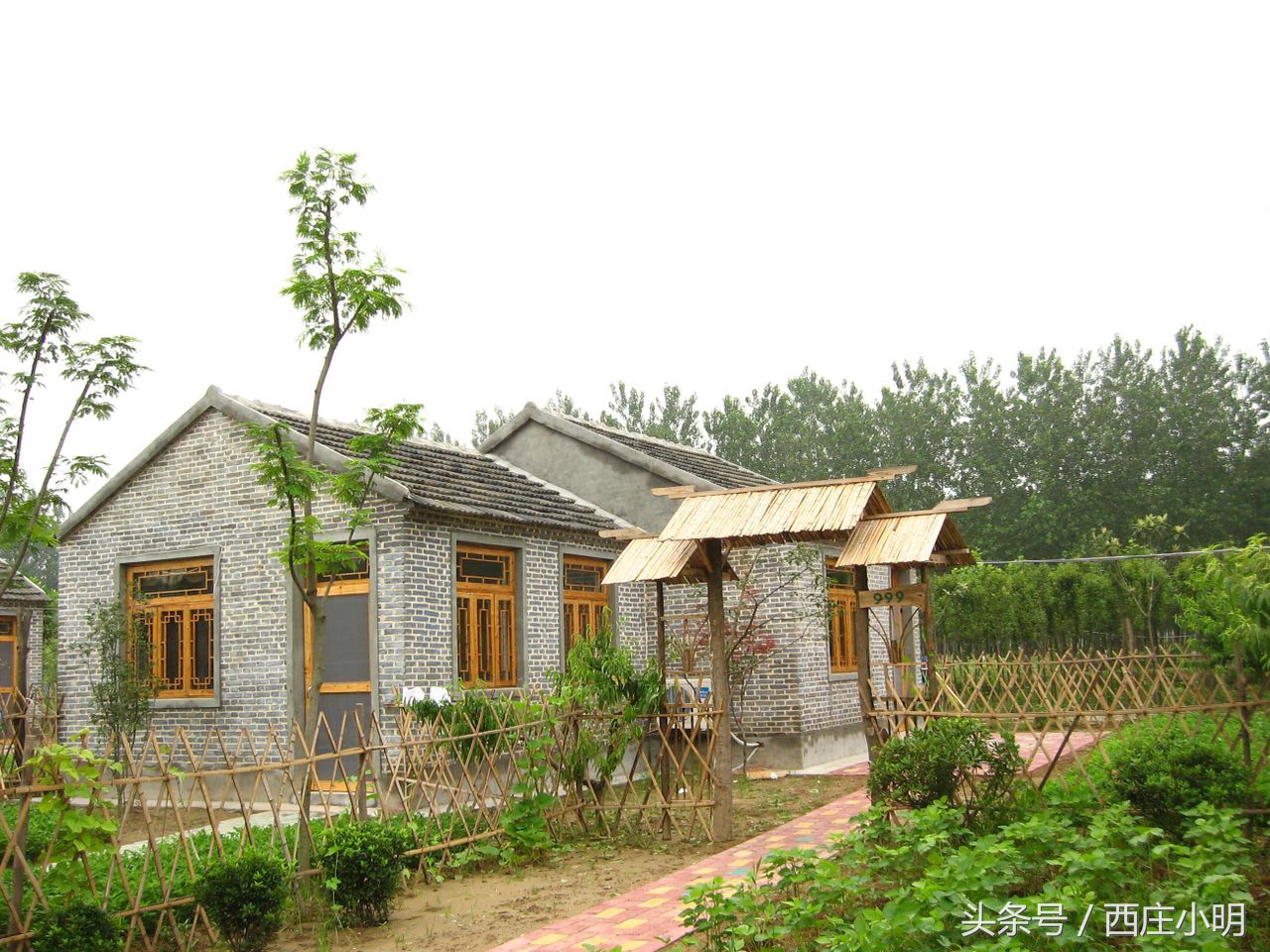 屋顶平的好还是尖的好,农村盖房子现浇顶好还是木头好