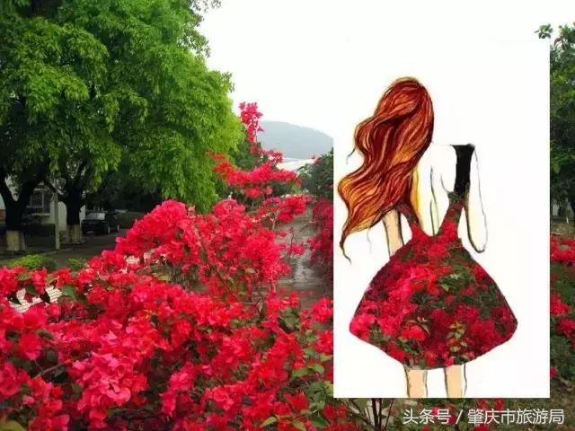 西大下了一场雨,美翻了整个肇庆!