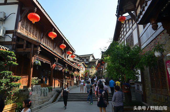 新疆野鹅自驾游视频,野鹅圣诞节自驾游