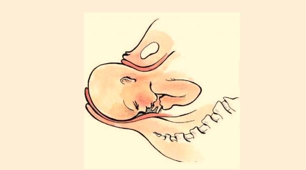 分娩怎么样缓解阵痛,分娩时会遭遇七大尴尬你遇到了吗