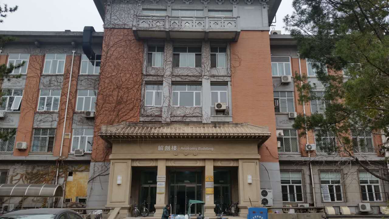 走进北师大,走进京师校园