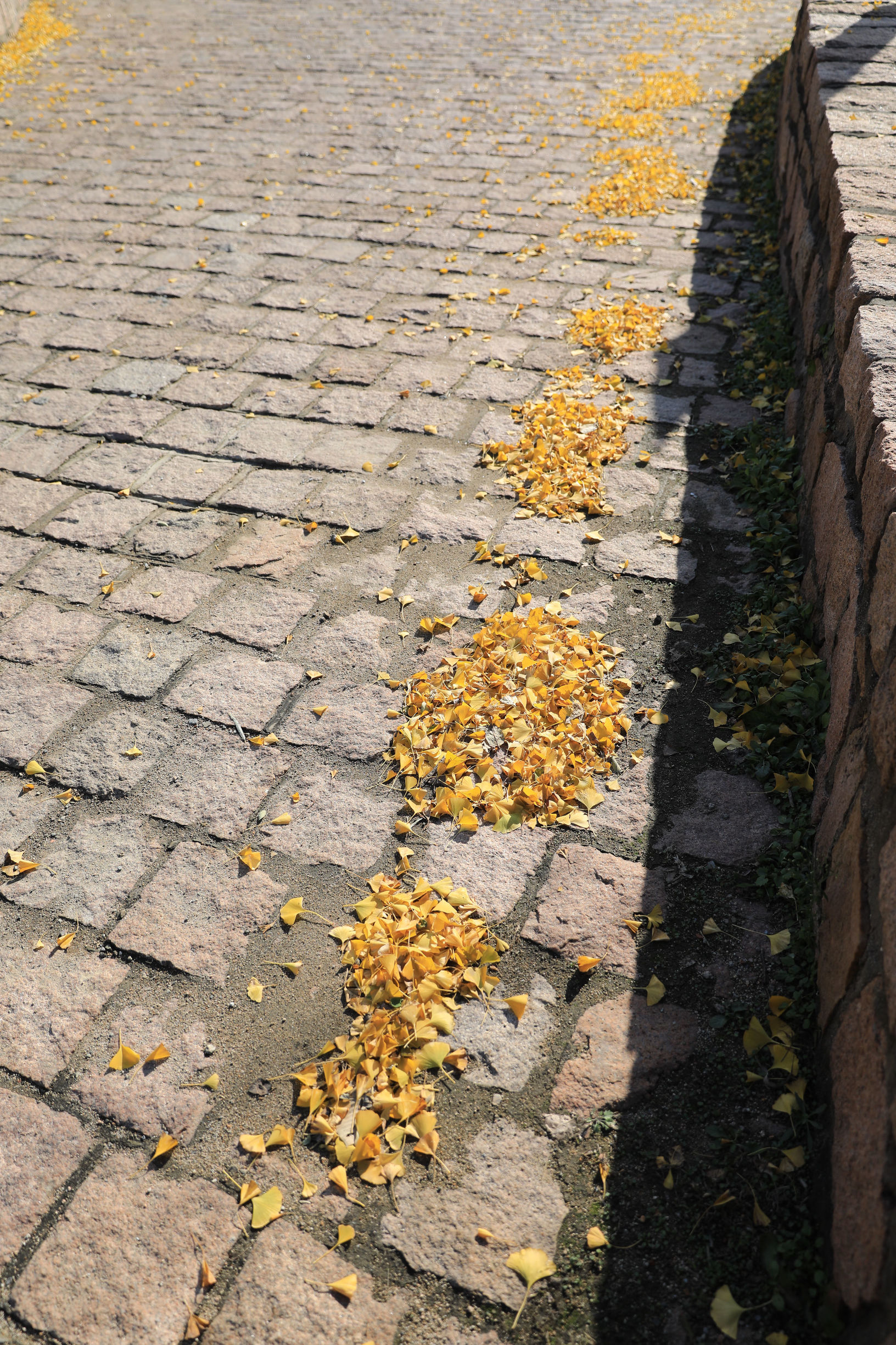 京郊自驾游好去处推荐蟒山,京郊水长城自驾游