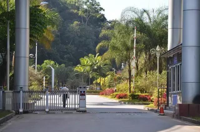 自驾游曼谷,成都到泰国自驾游攻略