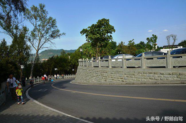 新疆野鹅自驾游视频,野鹅圣诞节自驾游