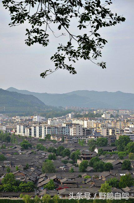 新疆野鹅自驾游视频,野鹅圣诞节自驾游
