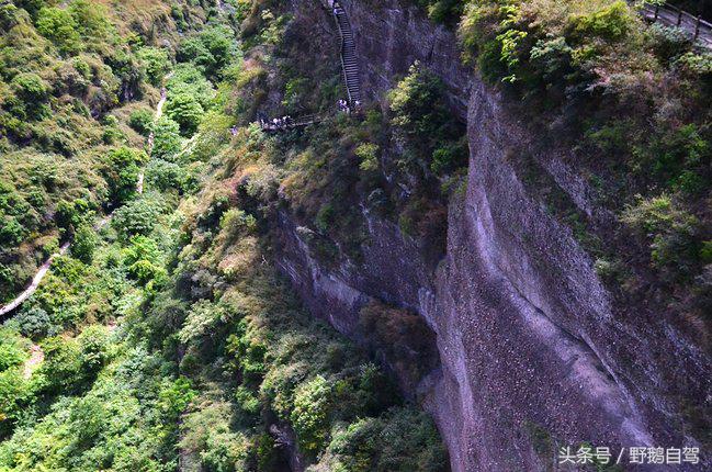新疆野鹅自驾游视频,野鹅圣诞节自驾游