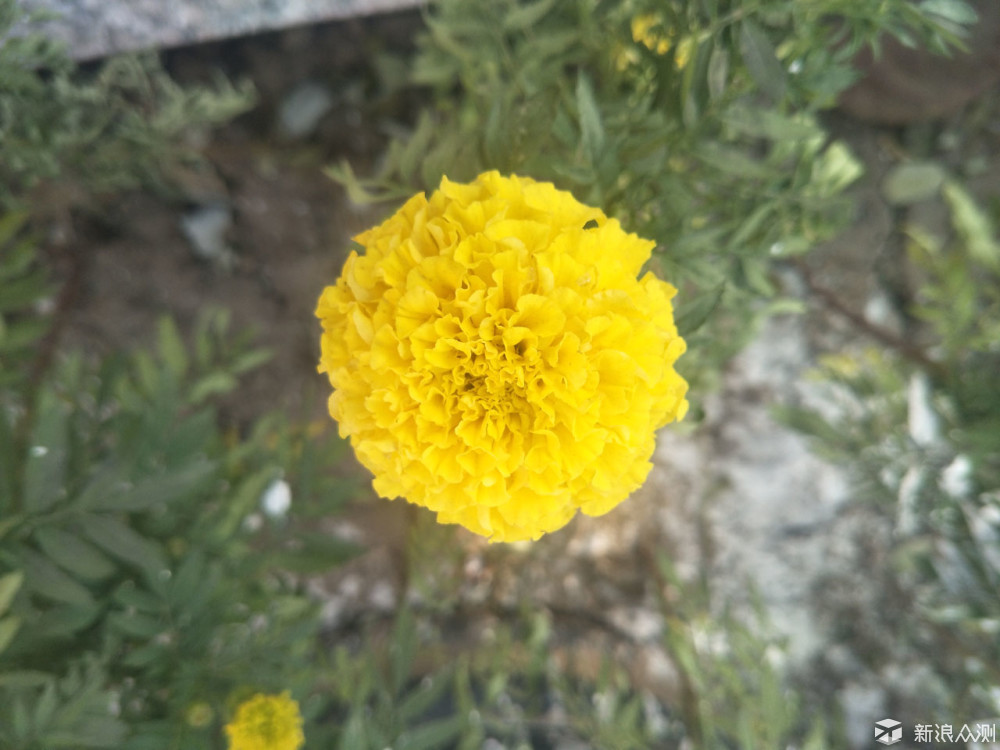 oppor9s评测,oppor9s多少钱一台