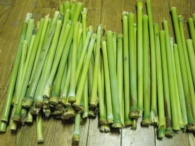 东北人的最爱,东北人的最爱东北大冻梨