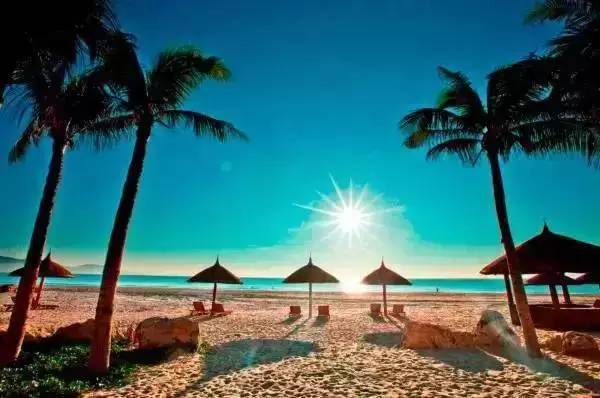 越南芽庄旅游究竟怎么样 (越南芽庄旅游最新消息)