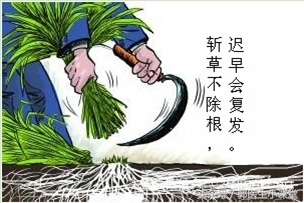 宫颈息肉影响正常怀孕吗,怀孕宫颈息肉会流浅红色分泌物