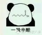 做模特变胖了会怎样,当模特被助理嫌弃胖就减肥