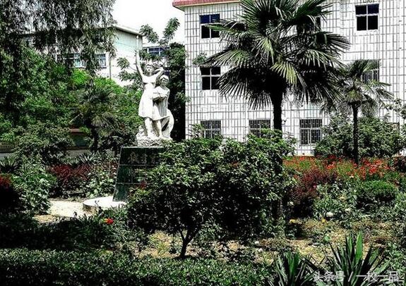 驻马店校园足球培训学校,河南省驻马店第二高级中学足球队