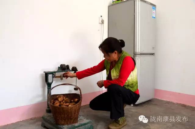 阳坝:遗落在时光深处的慢生活