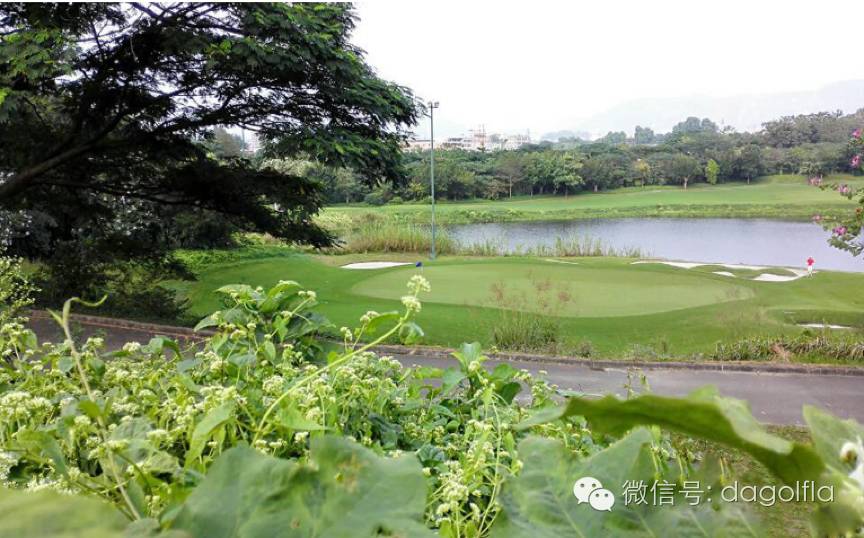 高尔夫球优惠活动,高尔夫挥杆练习场团购