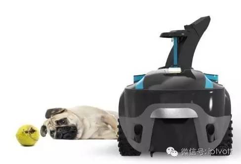 朝花夕拾1108|真才基出任中国电信执行副总裁；软银第二财季净利润49亿美元