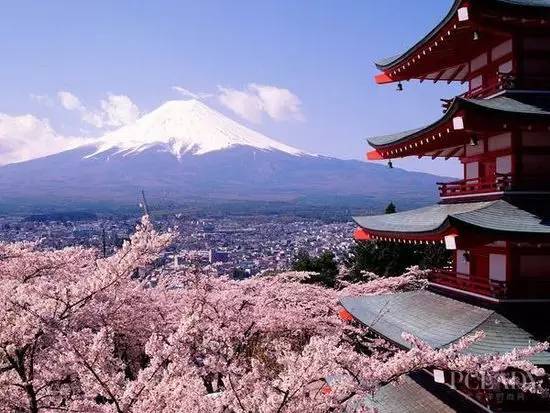 决战双十一发货现场,双十一囤哪些货