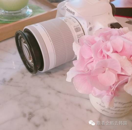 少女心大爆炸！首尔弘大这家Café好看得一塌糊涂