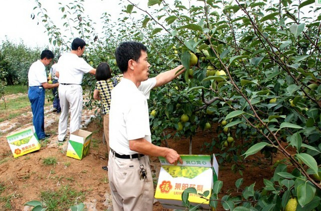 青荣城铁今天全线开通!这些地方你不可错过!