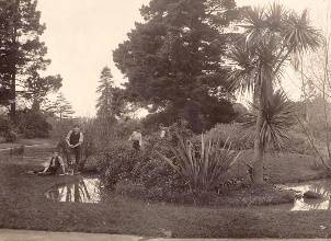 「花园集分享」野风系澳大利亚园林景观设计简析