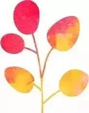 今晚成都市能看见超级月亮吗,成都可以看超级月亮