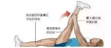 健身拉伸的正确方法和注意事项,健身拉伸的正确方式