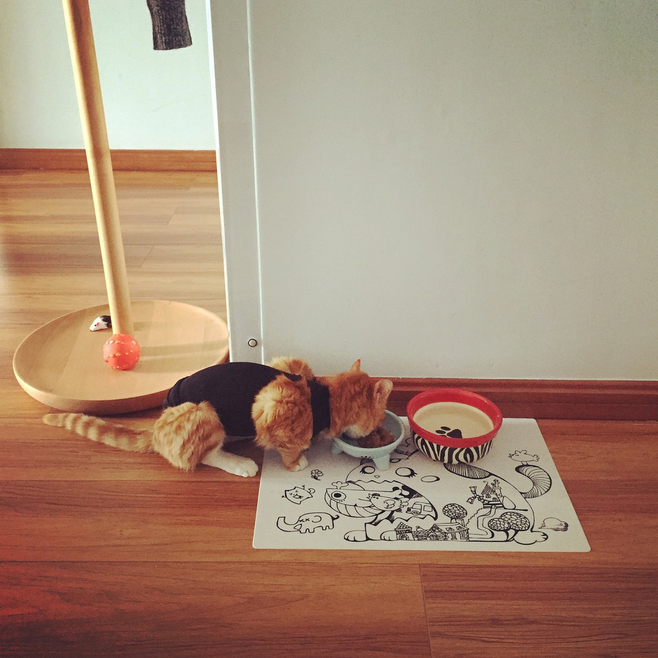 豆瓣装修相册,豆瓣相册