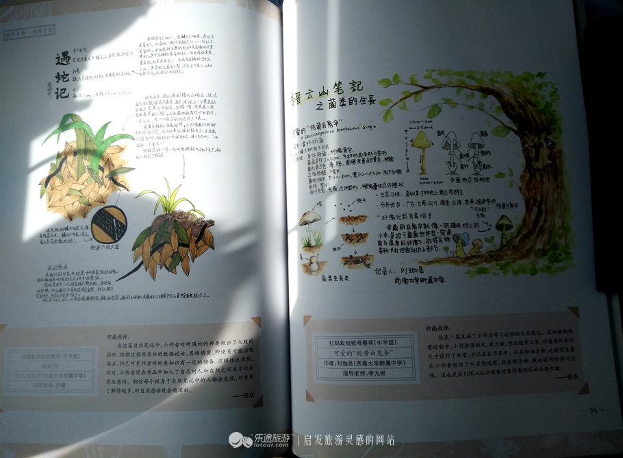 漫步缙云“自然小径”书写自然笔记