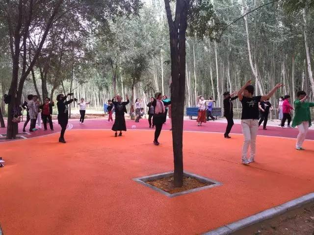 包头城建大项目,包头市新建公园