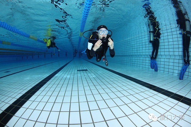 特色课程游泳课内容,隐藏的体育课