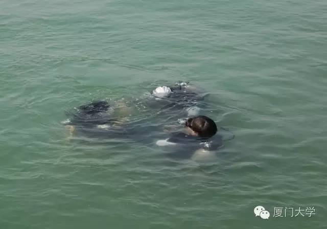 休闲体育潜水课,体育课创新课堂