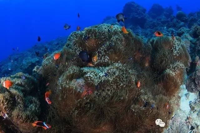 特色课程游泳课内容,隐藏的体育课