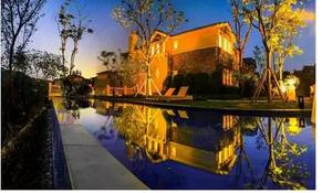 茶园的地价多少钱一亩,茶园拿地价格