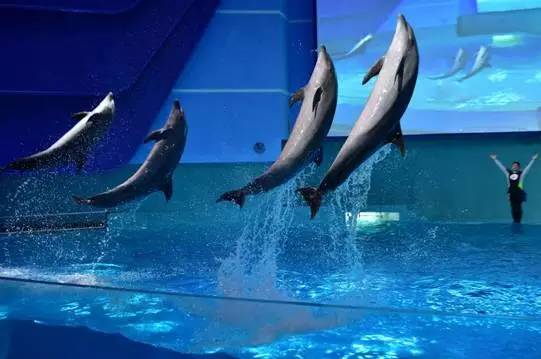 旅游景区收到游客投诉价格偏高,景区门票调价投诉