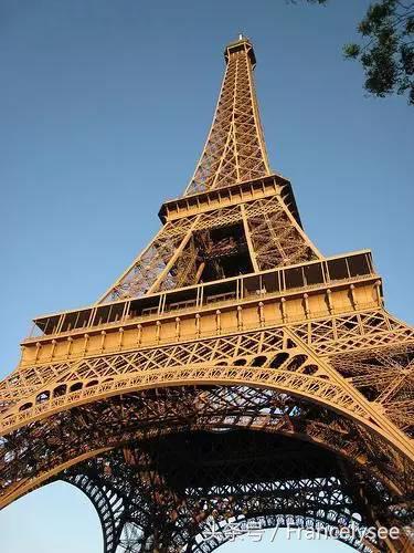你不知道的埃菲尔铁塔,巴黎密语黑森林