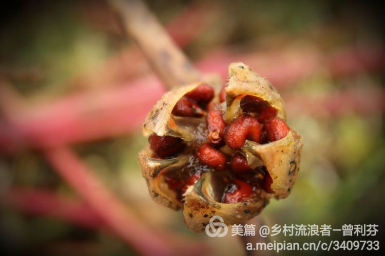 记住乡愁河源热水镇,发现河源