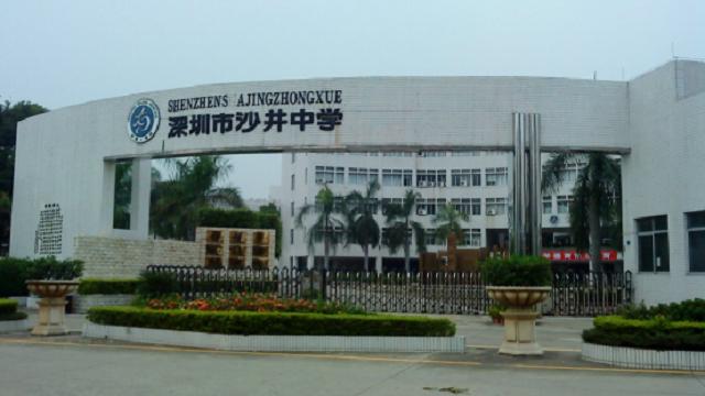 宝安区哪个公立学校最易录取,宝安区可以报考哪些高中