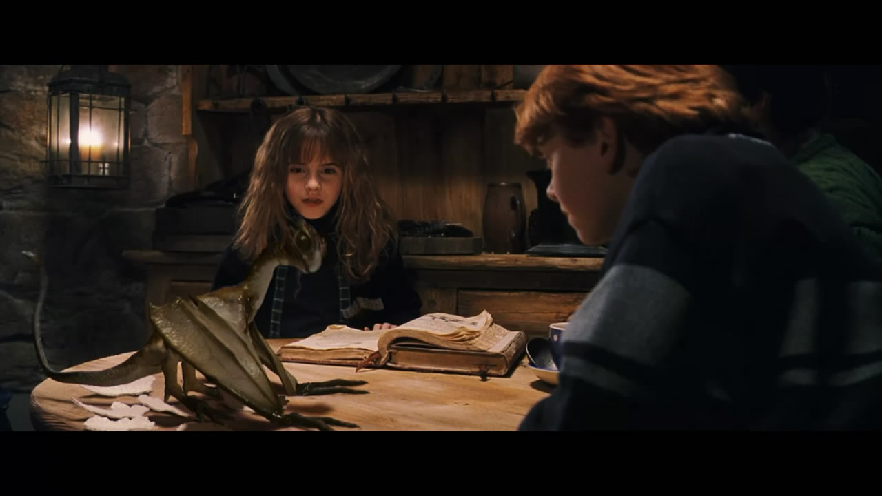 你还记得那颗干鼻屎味道的多味豆吗