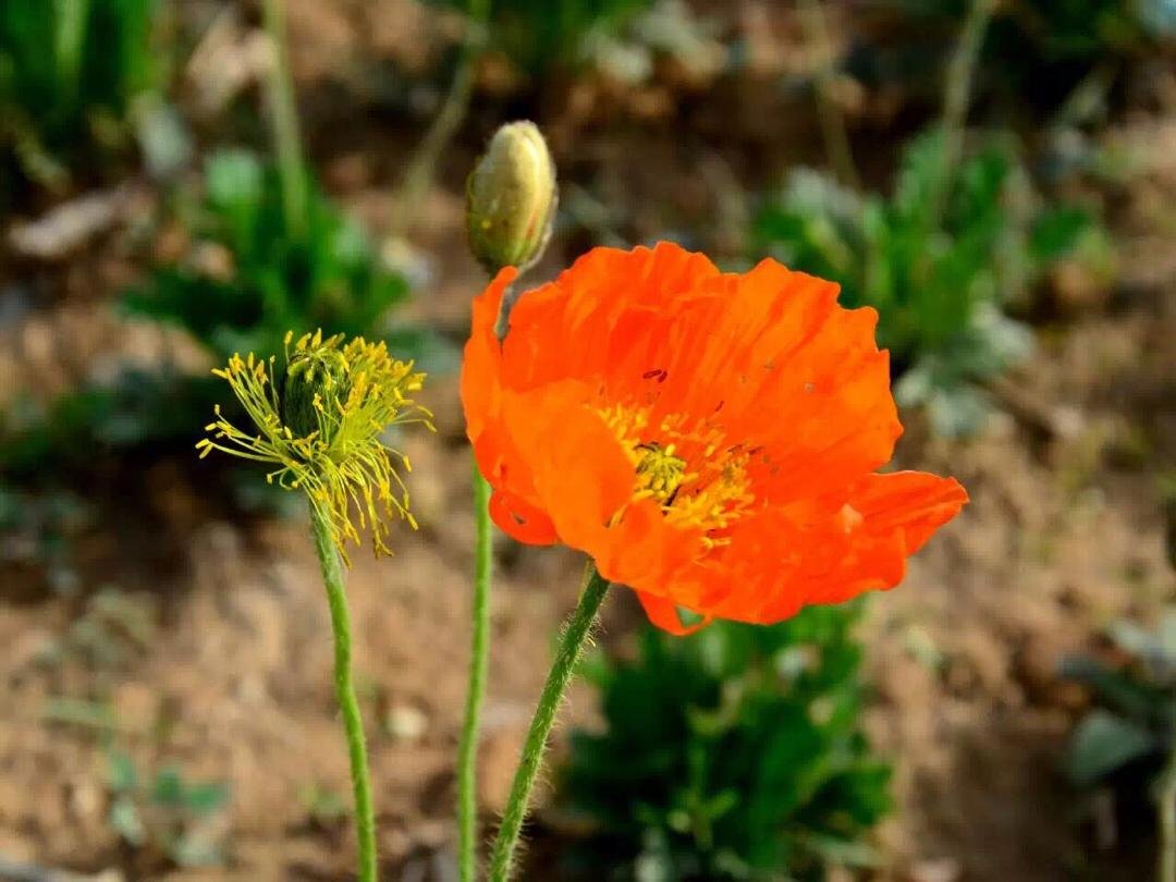 闺蜜之间怎么相处,怎么才可以对闺蜜说甜言蜜语