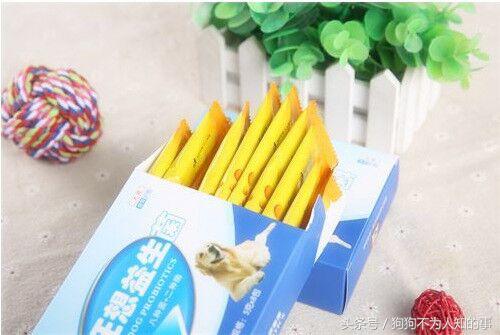 雪纳瑞吐稀怎么办,雪纳瑞吐黄水怎么回事