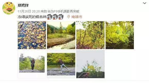 南雄看银杏值得去吗,南雄看银杏攻略