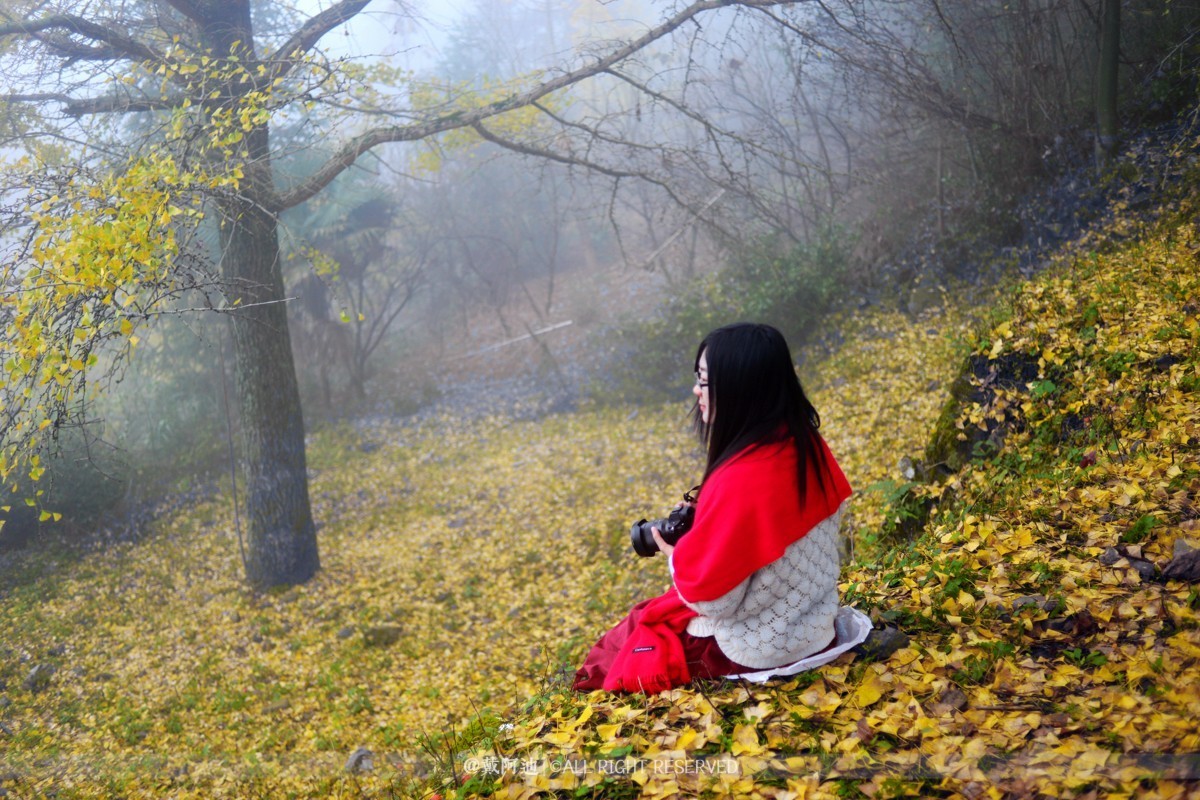 今年最后银杏金秋，现在出发还来得及！